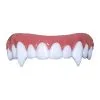 Nightslayer Dental FX Veneers