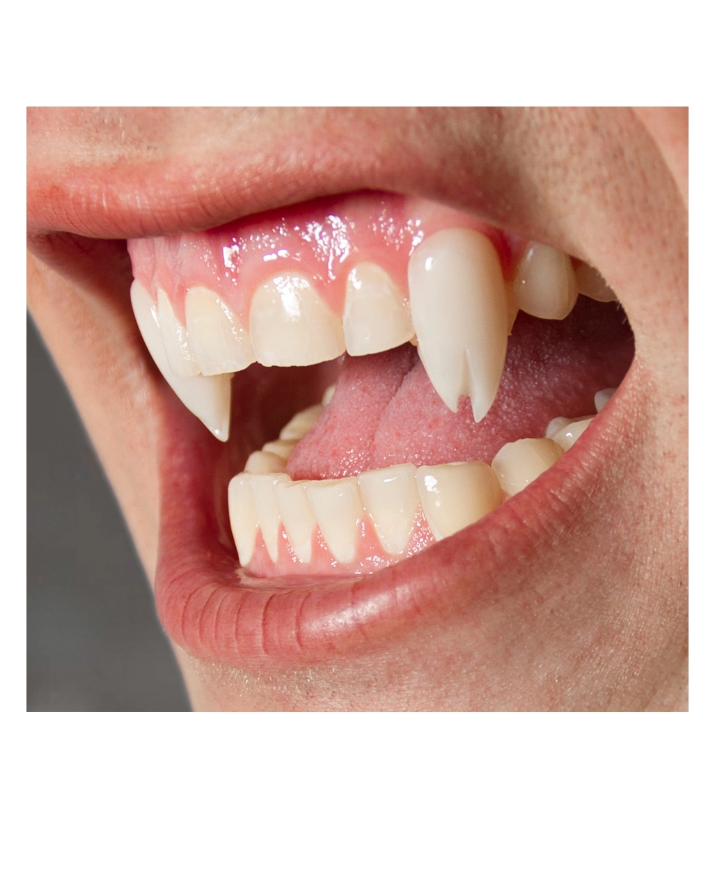 Scarecrow Viper Split VampirzĂ€hne â Bild 3