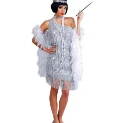 Heißes Charleston Kleid Silber
